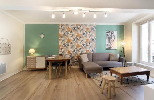 Saint-Girons Apartment | " Loutrein Lodge " Hyper Centre - Calme - WiFi