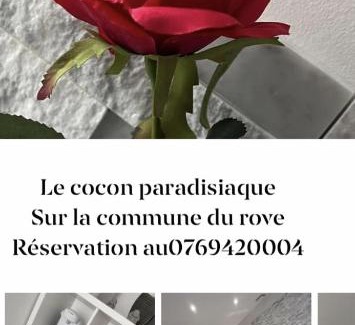 Le Rove Bed & Breakfast | Love room avec spa privatif