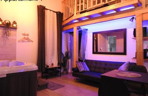 Narbonne Apartment | Love room "Nuit Blanche" - spa