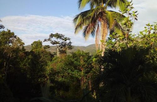 Ewarton House | Lovely 1-Bed Cottage in St catherine Jamaica
