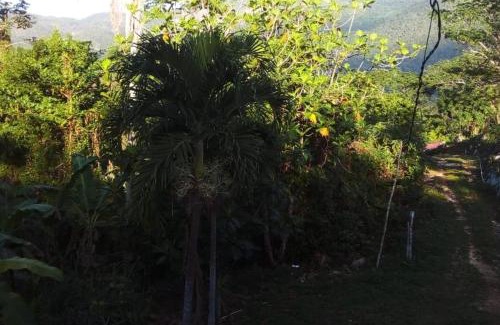Ewarton House | Lovely 1-Bed Cottage in St catherine Jamaica