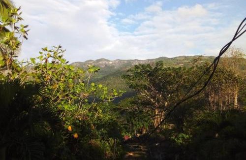 Ewarton House | Lovely 1-Bed Cottage in St catherine Jamaica