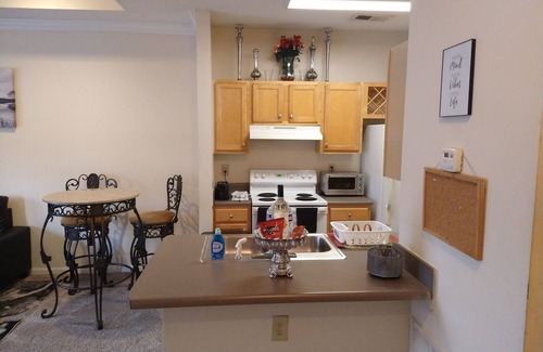 Atlanta Apartment | Lovely 1 Bedroom/1Bath Apartment