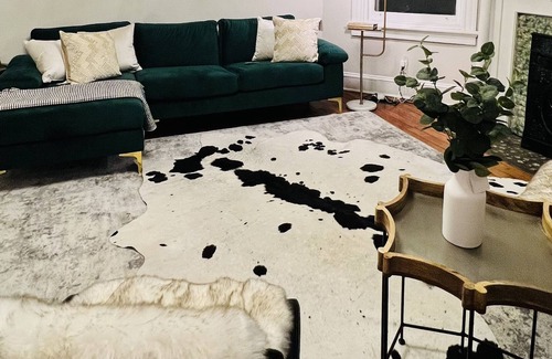 Fan District Apartment | Lovely 2 bedroom in the middle of downtown Richmond