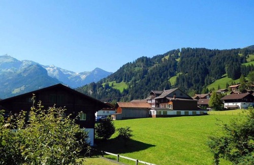 Lenk Apartment | Lovely apartment for 5 guests with WIFI, TV, balcony and pets allowed