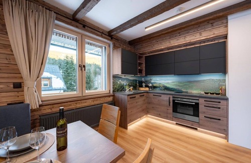 Dolni Morava Apartment | Lovely apartment for 6 guests with WIFI, TV, terrace and parking