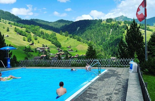 Ruedisbach Apartment | Lovely apartment for 8 people with WIFI, hot tub, TV, balcony and pets allowed