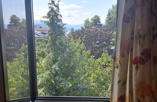 Seewalchen am Attersee Apartment | Lovely apartment for 4 people with WIFI, TV, patio, panoramic view and parking
