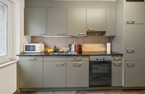 Alt-Wiedikon Apartment | Lovely flat near Museums