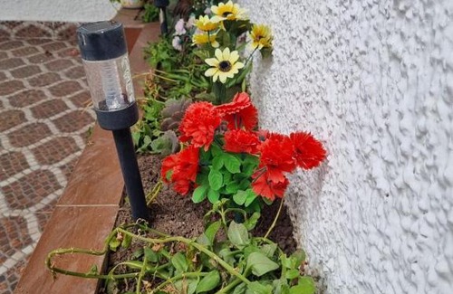 Miramar House | Lovely house with garden