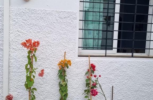 Miramar House | Lovely house with garden