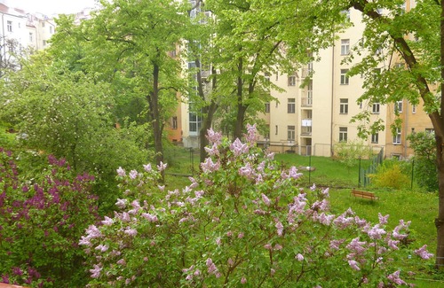 Vinohrady Apartment | Lovely, Quiet and Charming Apartment in the Heart of Prague