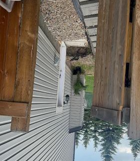 Northwest Edmonton House | Lucas