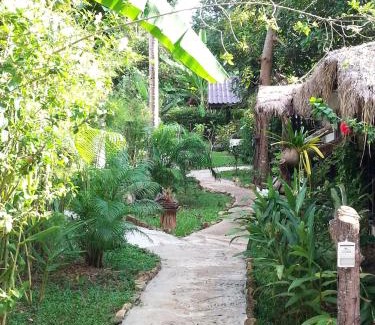Bai Lan House | Lucky Gecko Garden
