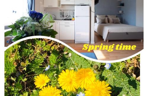 Lazise Apartment | LULLABY HOUSE LAZISE