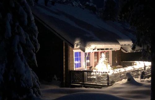 Yllas Ski Chalet | Luppocee