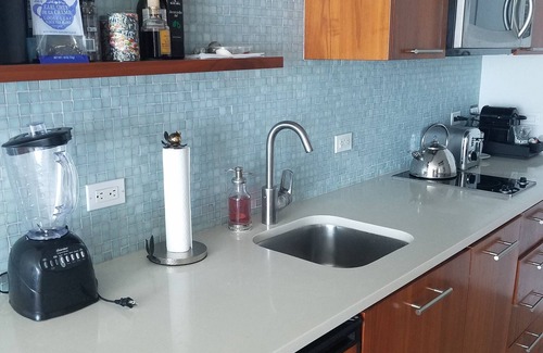 North Beach Apartment | LUXURIOUS 1 BR CONDO WITH OCEAN VIEW, POOL AND SPA