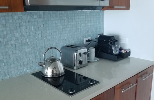 North Beach Apartment | LUXURIOUS 1 BR CONDO WITH OCEAN VIEW, POOL AND SPA
