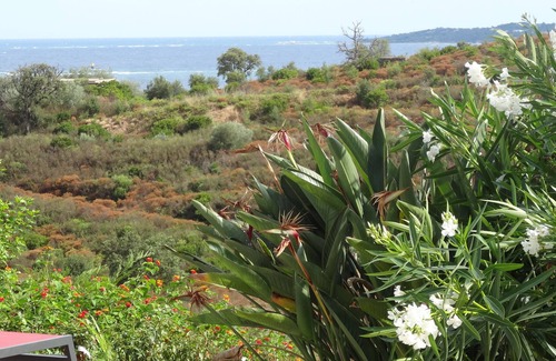 Plage de la Garonnette Villa | Luxurious Villa, large pool, splendid sea view, 5min walk to the beach
