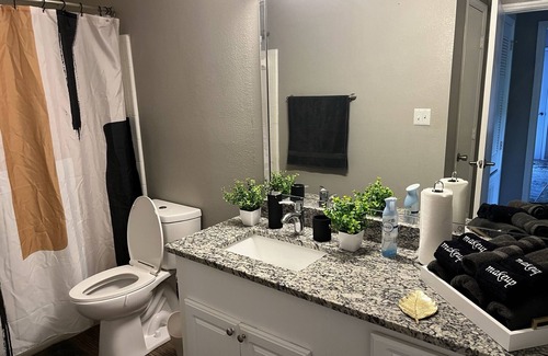 Sandy Springs Apartment | Luxury 1 bedroom with free amenities and parking to feel like home