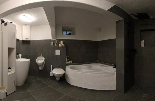 Rohrbach Apartment | Luxury 1895 Stone & Wood Art House
