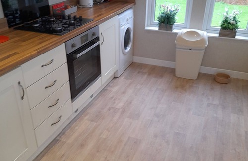 Paignton Cabin | luxury 2 - 6 Person Pet Friendly Lodge cw Hot Tub 5* Devon Hills Country Park