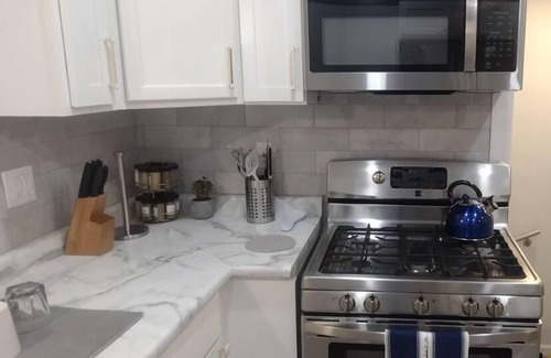 Detroit House | Luxury 2bd 1 bath home. 10 minutes from Downtown Midtown Detroit.