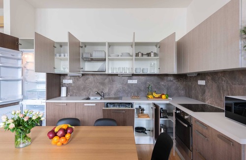 Nove Mesto Apartment | Luxury Apartment near the National Theatre