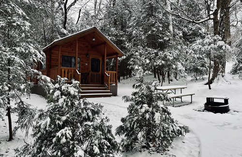 Grier City-Park Crest Cabin | Luxury Cabin - Located at Lakewood Park Campground Firepit/Fireplace/Private Bathroom/Lake access