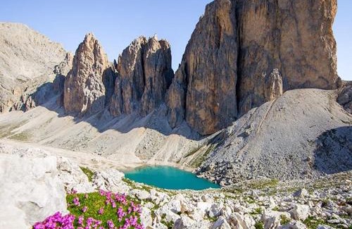 Penia Apartment | Luxury Chalet Orchidea