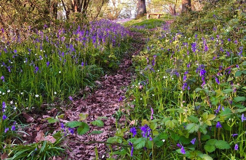 Montgomery Cottage | Luxury cosy countryside retreat, great for walkers. Sleeps up to 4.