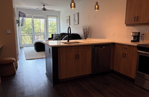 Home Park Apartment | Luxury Cozy 1-bedroom apartment in Midtwon Atlanta