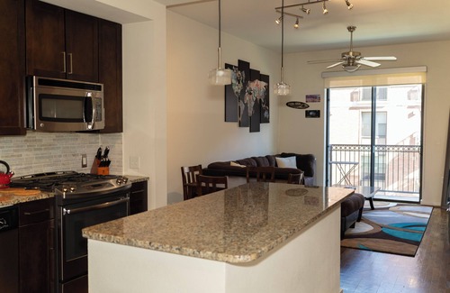 Downtown Houston Apartment | Luxury Downtown Oasis