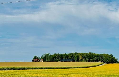 Alexandria Apartment | Luxury farm Stay, Alexandria