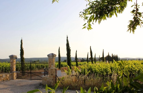 Sainte-Cecile-les-Vignes House | Luxury Provence DiWine House with Large heated swimming pool on the Vineyard