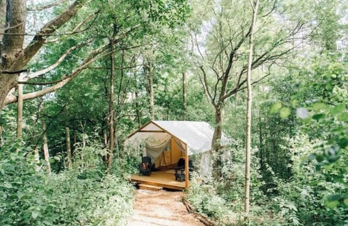 Elora Cabin | Luxury Glamping on Elora Sunflower Farm - Fox
