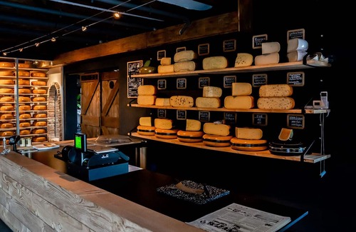 Municipality of Oudewater Apartment | Luxury Gouda Cheese Farmhouse for Family, 30 minutes from all major cities