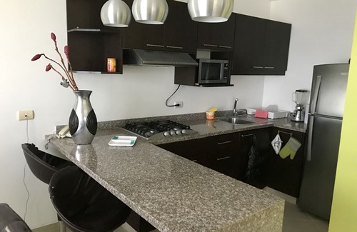 Manta Condo | * Luxury Oceanfront View Condo *