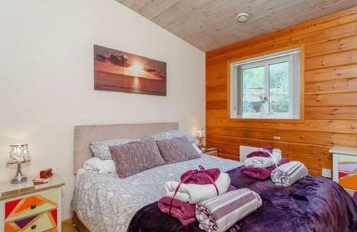 Rudyard Ski Chalet | Luxury Peak District lodge, hot tub, log burner, nr lake