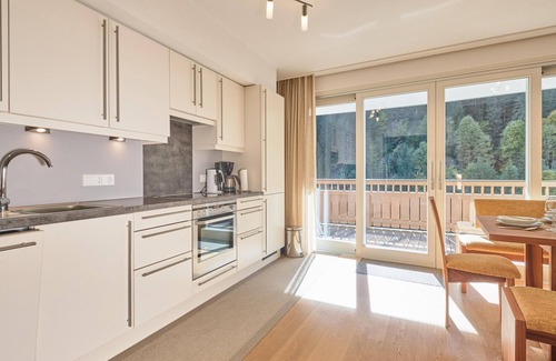 Viehhofen Apartment | Luxury property with almost a ski-in/ski-out location