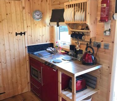 Longtown Apartment | luxury railway carriage with stunning views