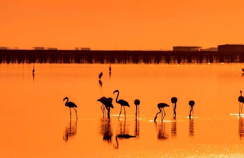 Poble Nou del Delta House | Luxury refuge amidst the nature reserve El Delta del Ebro