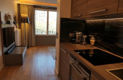 12th Arrondissement Apartment | Luxury Studio Daumesnil Wifi & Netflix