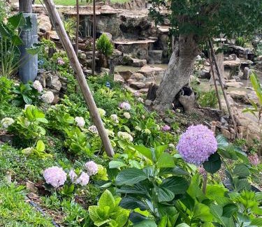 Wang Katha House | Luxury Treehouse Khaoyai