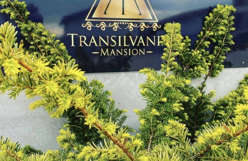 Brasov Villa | Luxury Villa Brasov.