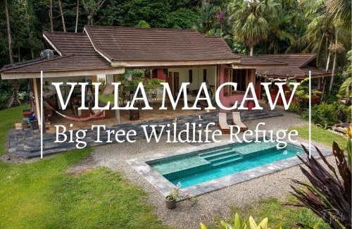 Punta Uva Villa | Luxury Villa Macaw Pool House with FiberOp and Oceanviews