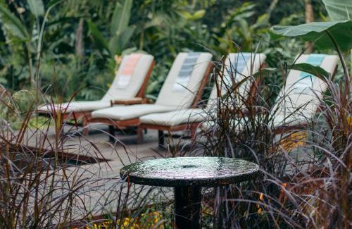 Bocas del Toro Villa | Luxury Villa plus 2 Cabins Rainforest Estate Natural Swim Pond