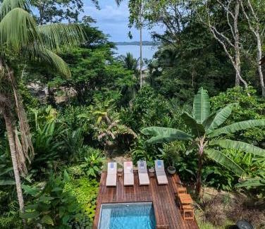 Bocas del Toro Villa | Luxury Villa plus 2 Cabins Rainforest Estate Natural Swim Pond