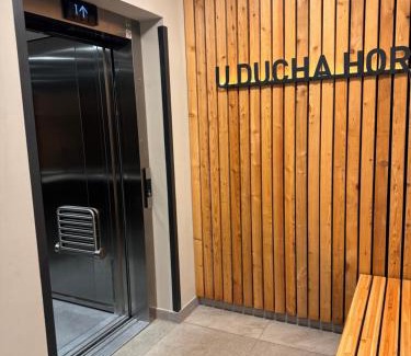 Harrachov Apartment | Luxusní apartmán GRAND v centru Harrachova se saunou, wallboxem EV, parkováním zdarma, Netflix a HBO, velkým balkonem a výhledem na Čertovu horu ,sjezdovku a skokanské můstky