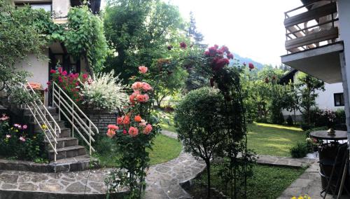 Ribaritsa House | Luylyana Guesthouse